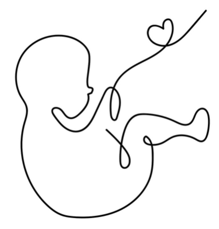 Informationsveranstaltung zu Fetalen Alkoholspektrumsstörungen (FASD)